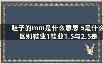 鞋子的mm是什么意思 5是什么区别鞋业1鞋业1.5与2.5是什